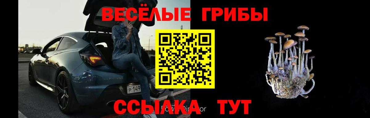 Кудымкар  Псилоцибиновые грибы Magic Shrooms  Вход с VPN  Галлюциногенные грибы Psilocybe 